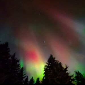 Meet your Posher, Carys